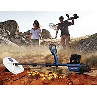 Metal Detector Calibration Service