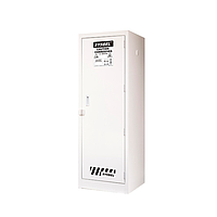 Sysbel ACP810022 Corrosive Substance Storage Cabinet (22 Gal/L)