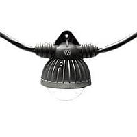 Molex 1301110117 LED String Lights LED STRING 100FT #12/3SOOW 14W 10SKT