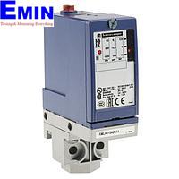 Telecomunication Switches