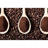 What is the normal moisture content of coffee, how to measure & preserve it?