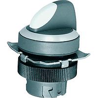 RAFI 1.30.242.301/2206 Switch Actuators RAFIX 22 QR Selector switch 2x60