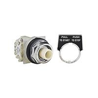Square D 9001KR9H13 Pushbutton Switches PSH BTTN 600VAC 10A 30MM, Type K