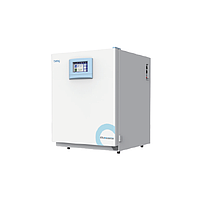 BEING BPN-240RWP CO2 Incubator (240L)