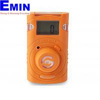 Single Gas Meter Inspection Service