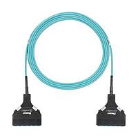Panduit FZTSPXNXNSNF030 Fiber Optic Cable Assemblies OM4 12f Trunk OFNP LC Cass/LC Cass Std P