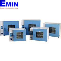 BEING Autoclave Sterilizer Inspection Service