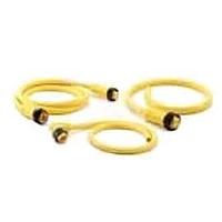 Amphenol SINE Systems MN54PD01M010 Sensor Cables / Actuator Cables DeviceNet Thick Mini Rec 5 Pin Female 1