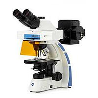 Euromex OX.3237/560 Trinocular Oxion microscope for fluorescence (HWF 10x/22 mm, 4/10/S40/S100x)
