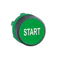 SCHNEIDER ZB5AA333 Head FLUSH GRN W/WHT START MARKING