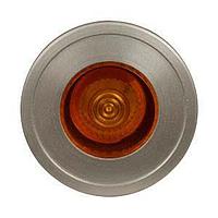 Eaton 10250TC60 Heavy Duty PUSH-PULL LENS SIDE LIGHTED Y