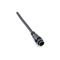 Amphenol LTW BD-02AMFM-QL8D02 Sensor Cables / Actuator Cables X-Lok, Standard Size, Plastic, 5A, 02 pins, Male Connector, Female Contact, Straight, Push Lock, Overmolded, Length 2000mm, IP68