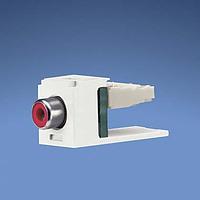 Panduit CJRREI RCA Phono Connectors Mini-Com RCA Punchdn Module Electric