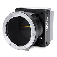 Basler raL4096-24gm Line Scan Cameras (4k; 26 kHz)