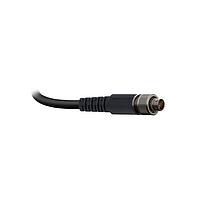 Ethernet / Networking Cables