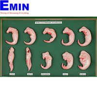 PHYWE KLA-465-100 Vertebrate Embryos
