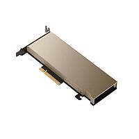 Advantech SKY-TESL-A10-24P Video Modules TESLA A10 24GB PCI-E X 16 HS