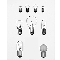 PHYWE 06152-03 Filament Lamps (3.5V/0.2A, E10)
