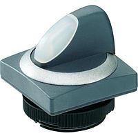 RAFI 1.30.272.351/2207 Switch Actuators Selector switch 2x60