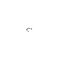 KERN 347-037-N00 Newton weight (5cN, type B)