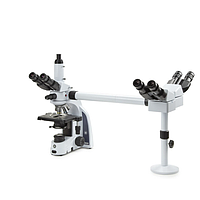 Euromex IS.1156-PLi3 iScope trinocular multihead microscope with 2 extra binocular heads (EWF 10x/20 mm, 4/10/S40/S100x)