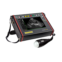 DRAMINSKI ANIMAL profi 2 Ultrasound Scanner (with 1 abdominal probe)