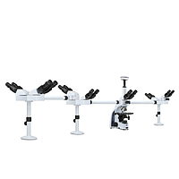 Euromex IS.1156-PLi7 iScope trinocular multihead microscope with 6 extra binocular heads (EWF 10x/20 mm, 4/10/S40/S100x)
