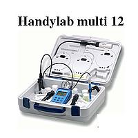 SI ANALYTICS Handylab multi 12 Meter pH / mV / EC / Salty / DO / Temperature Handheld (-2.00~19.99 pH, 0.01 pH)