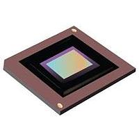 Texas Instruments DLP650NEFYE DMD 0.65-inch 1080p 2xLV DS DLP&reg; digital