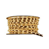 Inspired LED 3562 LED Lighting Bars and Strips LED 2700K, 50 Meters Normal Bright Type