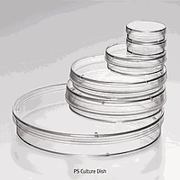 Dishes & Plate