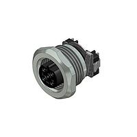 Amphenol CONEC 43-02123 M12 Female Socket SAL-12B-FK4-X13/14/
