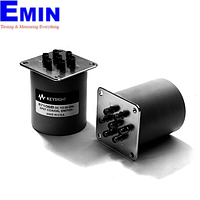 Telecomunication Switches