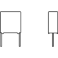 Vishay Roederstein F17102471000 AC Capacitors, Suppression Capacitors, Class Y2 (MKT) 4700pF 300V 20%