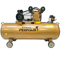 PEGASUS TM-V-0.25/12.5-120L Belt Driven Air Compressor (220V, 12.5 Kg/cm, 120L)