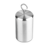 KERN 347-146-N00 Newton Weight (100 N)