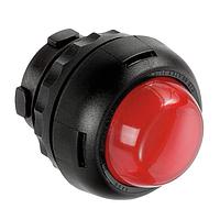Pushbutton Switches