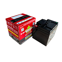 Santak ECT-UP1240VA8 Ecotek Batteries (12V, 40Ah)