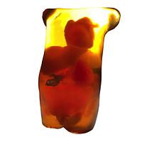 True Phantom Solutions AN-N01 Newborn Torso (Advanced) For X-Ray CT, US