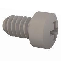 Essentra Components 011024WF031 Phillips Fillister Phillips Screw, #10-24 Thread, 5/16 Lg
