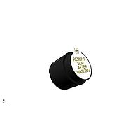 PUI Audio AT-1620-TWT-5-R Electromagnetic EM 6Vpk 2048Hz 85dBA Top Fire