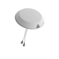 Laird External Antennas CMD69273P-30D43F Multiprotocol Antennas Omni,Dband,30CM,D43F , 698-2700MHz,3dBi,L