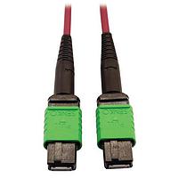 Tripp Lite N846D-01M-16AMG Multimode 1M 16STRD MPO/APC OM4FIBCBL