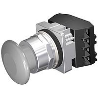 SIEMENS 52PM9W6F Pushbutton PUSHBUTTON,MOM,GRY,1 3/4" PLST,2POS,2NO