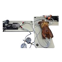 True Phantom Solutions TO-A04 Adult Torso (Dynamic) For X-Ray CT, US