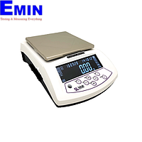 Precision scale