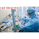 Polymerase Chain Reaction (PCR) Technique