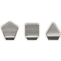 KERN 318-07 E2 Milligram Weight (100mg, ±0.016mg)