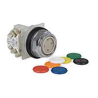 SCHNEIDER 9001KR1UH13 With Guard PSH BTTN 600VAC 10A 30MM, Type K