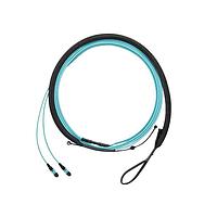 Panduit FXTRP7NQSONF014 Fiber Optic Cable Assemblies OM3 12f Harness OFNP PanMPO F/PushPull L